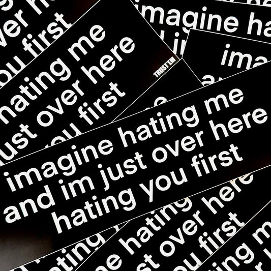 Imagine Hating Me Bumper Sticker